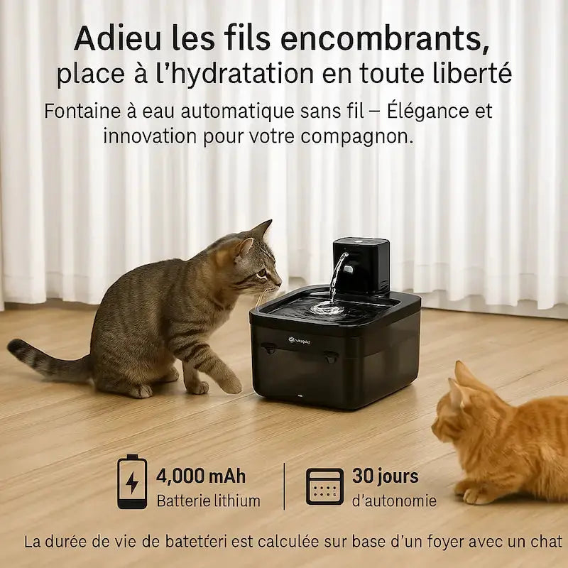 AquaFlow 2.5L - Fontaine à eau intelligente Fidoz