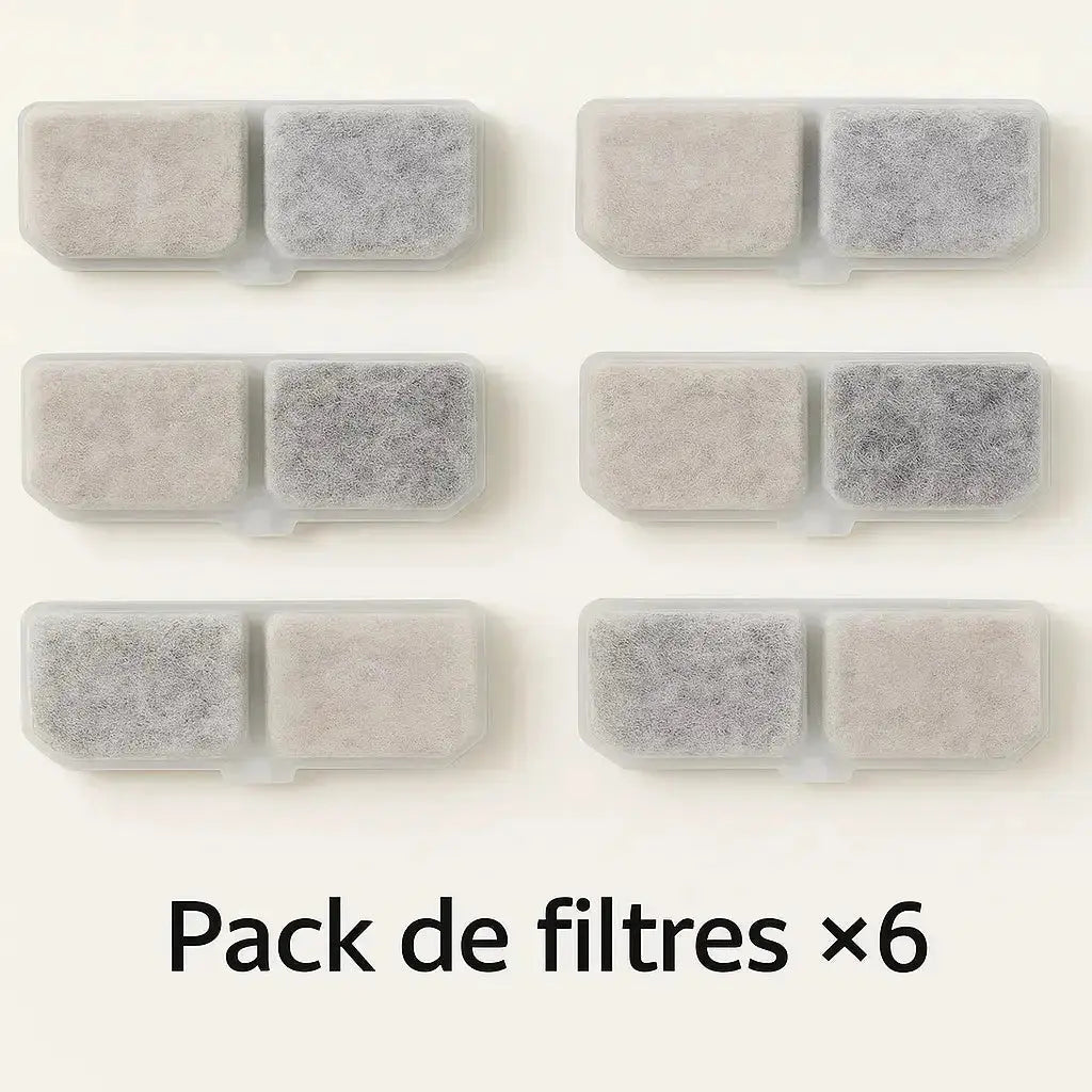 OFFRE D'ÉTÉ : Fontaine + Filtres - Fidoz