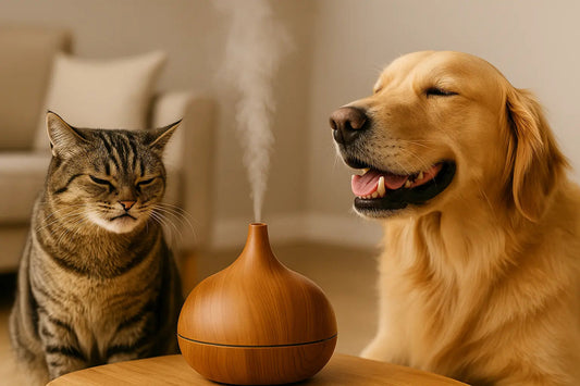 Les-odeurs-que-chiens-chats-aiment-ou-détestent-Guide-complet Fidoz