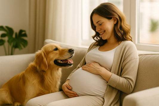 Préparer-son-chien-à-l-arrivée-d-un-bébé-guide-expert-en-8-étapes Fidoz