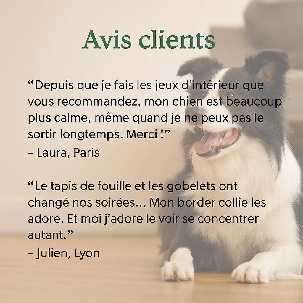 Témoignages clients satisfaits des jouets d'intérieur pour chien – chien de type Border Collie allongé, regard joyeux, sur fond de salon – citations positives de Laura (Paris) et Julien (Lyon) sur les bienfaits des tapis de fouille et jeux interactifs.