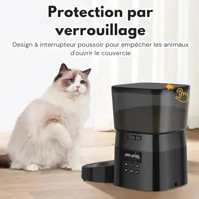 Distributeur Automatique De Nourriture Fidoz
