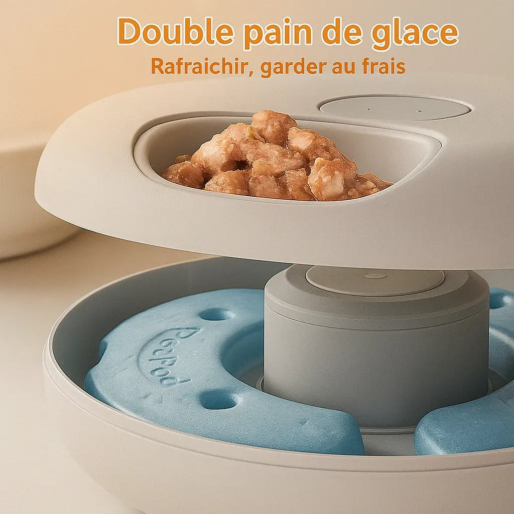 FeedyCat-Distributeur Automatique de Pâtée pour Chats Fidoz