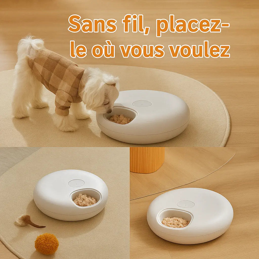 FeedyCat-Distributeur Automatique de Pâtée pour Chats Fidoz