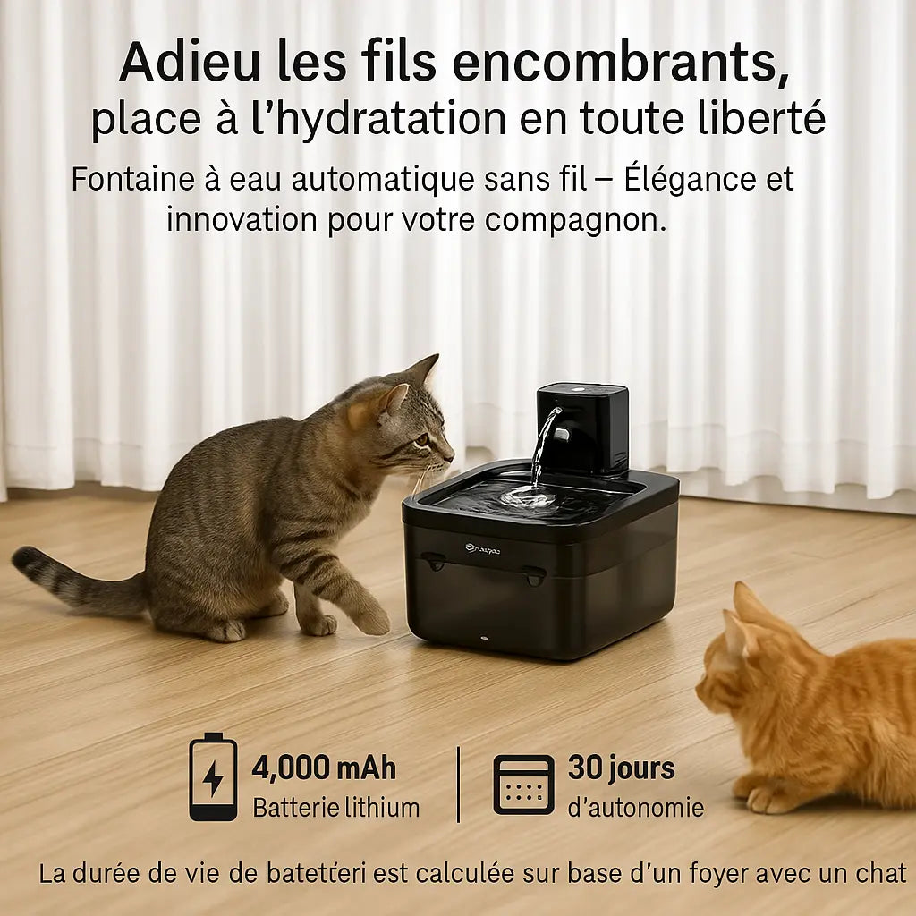 Fontaine à Eau Premium 2,5L – Inox, Sans Fil & Intelligente Fidoz
