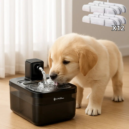 OFFRE D’ÉTÉ : FONTAINE + FILTRES (jusqu'à 1 ans d’eau filtrée) Fast Bundle