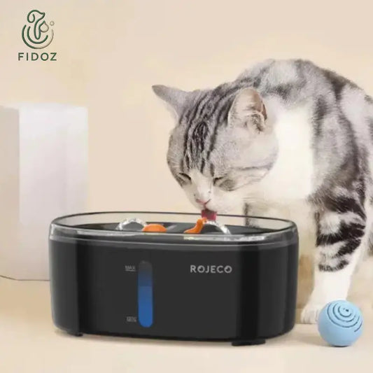 OFFRE D’ÉTÉ : Fontaine + Filtres Fast Bundle